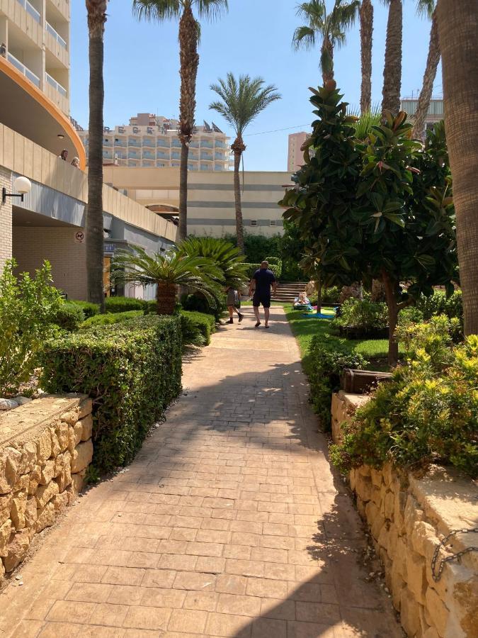 Rascacielo Bonito Mirando Al Mar Daire Benidorm Dış mekan fotoğraf